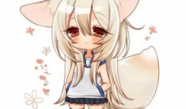 狐狸动漫,穿越时空的奇幻之旅