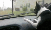 gif动漫邪恶,GIF动漫中的黑暗魅力解析